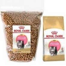 royal canin kitten persian harga