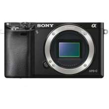 sony alpha a6000 megapixel